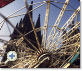 Bild: